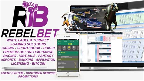 rebel betting calculator|Latest topics .